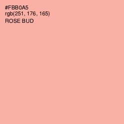 #FBB0A5 - Rose Bud Color Image